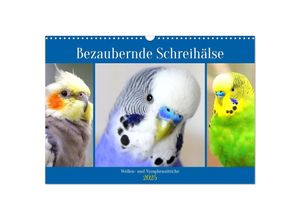 9783435026425 - Bezaubernde Schreihälse Wellen- und Nymphensittiche (Wandkalender 2025 DIN A3 quer) CALVENDO Monatskalender