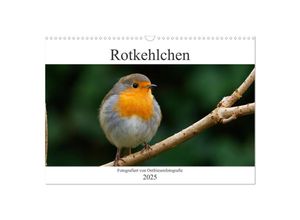 9783435026517 - Rotkehlchen - Fotografiert von Ostfriesenfotografie (Wandkalender 2025 DIN A3 quer) CALVENDO Monatskalender