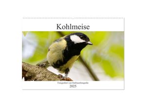 9783435026678 - Kohlmeise - Fotografiert von Ostfriesenfotografie (Wandkalender 2025 DIN A2 quer) CALVENDO Monatskalender