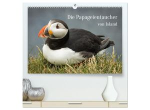 9783435026814 - Die Papageientaucher von Island (hochwertiger Premium Wandkalender 2025 DIN A2 quer) Kunstdruck in Hochglanz