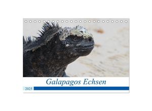 9783435026890 - Galapagos Echsen (Tischkalender 2025 DIN A5 quer) CALVENDO Monatskalender