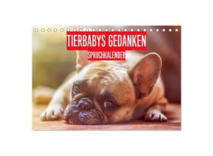 9783435027125 - Tierbabys Gedanken - Spruchkalender (Tischkalender 2025 DIN A5 quer) CALVENDO Monatskalender