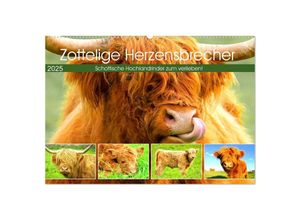 9783435027200 - Zottelige Herzensbrecher Schottische Hochlandrinder zum Verlieben (Wandkalender 2025 DIN A2 quer) CALVENDO Monatskalender