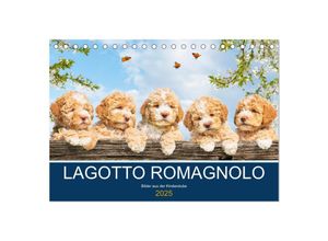 9783435027491 - Lagotto Romagnolo - Bilder aus der Kinderstube (Tischkalender 2025 DIN A5 quer) CALVENDO Monatskalender