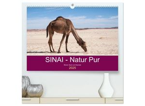 9783435027538 - Sinai - Natur Pur (hochwertiger Premium Wandkalender 2025 DIN A2 quer) Kunstdruck in Hochglanz