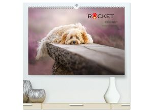 9783435027781 - Rocket der Havaneser (hochwertiger Premium Wandkalender 2025 DIN A2 quer) Kunstdruck in Hochglanz