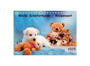 9783435028283 - Weiße Schäferhunde - Welpenzeit (Tischkalender 2025 DIN A5 quer) CALVENDO Monatskalender