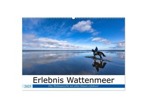 9783435028450 - Erlebnis Wattenmeer (Wandkalender 2025 DIN A2 quer) CALVENDO Monatskalender