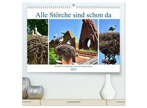 9783435029150 - Alle Störche sind schon da - Ein Dorf in Ostpreußen und seine Sommergäste (hochwertiger Premium Wandkalender 2025 DIN A2 quer) Kunstdruck in Hochglan