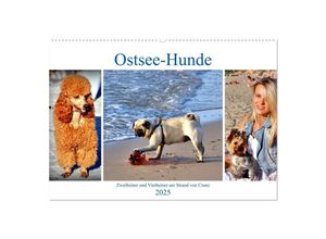 9783435029303 - Ostsee-Hunde - Zweibeiner und Vierbeiner am Strand von Cranz (Wandkalender 2025 DIN A2 quer) CALVENDO Monatskalender