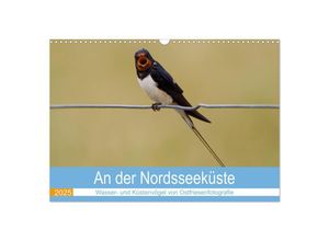 9783435029600 - An der Nordseeküste - Wasser- und Küstenvögel fotografiert von Ostfriesenfotografie (Wandkalender 2025 DIN A3 quer) CALVENDO Monatskalender