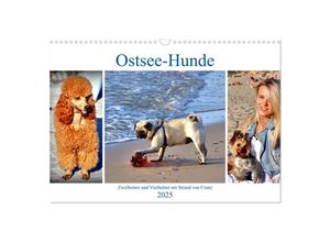 9783435029723 - Ostsee-Hunde - Zweibeiner und Vierbeiner am Strand von Cranz (Wandkalender 2025 DIN A3 quer) CALVENDO Monatskalender
