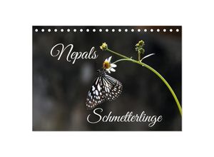 9783435029761 - Nepals Schmetterlinge (Tischkalender 2025 DIN A5 quer) CALVENDO Monatskalender