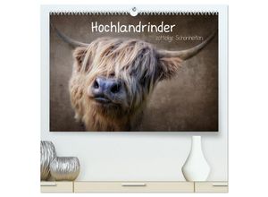 9783435030095 - Hochlandrinder - Zottelige Schönheiten (hochwertiger Premium Wandkalender 2025 DIN A2 quer) Kunstdruck in Hochglanz