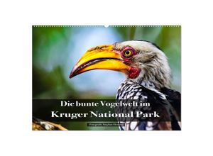 9783435030163 - Die bunte Vogelwelt im Kruger National Park (Wandkalender 2025 DIN A2 quer) CALVENDO Monatskalender