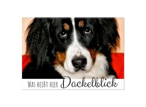 9783435030385 - Was heißt hier Dackelblick (Wandkalender 2025 DIN A2 quer) CALVENDO Monatskalender