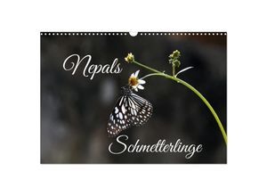 9783435030606 - Nepals Schmetterlinge (Wandkalender 2025 DIN A3 quer) CALVENDO Monatskalender