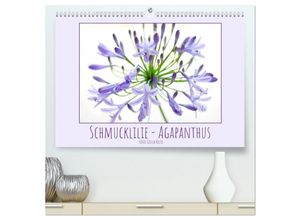 9783435030682 - Schmucklilie - Agapanthus (hochwertiger Premium Wandkalender 2025 DIN A2 quer) Kunstdruck in Hochglanz