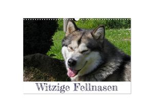 9783435030804 - Witzige Fellnasen (Wandkalender 2025 DIN A3 quer) CALVENDO Monatskalender