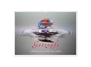 9783435030910 - Getropft (Wandkalender 2025 DIN A3 quer) CALVENDO Monatskalender