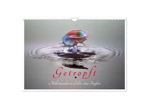 9783435031139 - Getropft (Wandkalender 2025 DIN A4 quer) CALVENDO Monatskalender