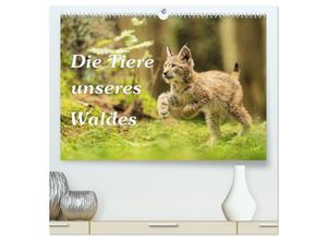 9783435031306 - Die Tiere unseres Waldes (hochwertiger Premium Wandkalender 2025 DIN A2 quer) Kunstdruck in Hochglanz