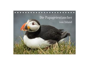 9783435031757 - Die Papageientaucher von Island (Tischkalender 2025 DIN A5 quer) CALVENDO Monatskalender