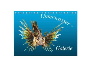 9783435032013 - Unterwasser-Galerie (Tischkalender 2025 DIN A5 quer) CALVENDO Monatskalender