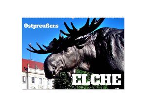 9783435032730 - Ostpreußens Elche (Wandkalender 2025 DIN A2 quer) CALVENDO Monatskalender