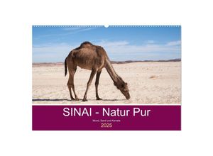 9783435033027 - Sinai - Natur Pur (Wandkalender 2025 DIN A2 quer) CALVENDO Monatskalender