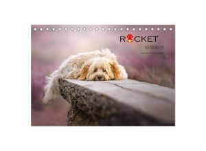 9783435033096 - Rocket der Havaneser (Tischkalender 2025 DIN A5 quer) CALVENDO Monatskalender