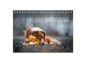 9783435033164 - Fellnasenromantik (Tischkalender 2025 DIN A5 quer) CALVENDO Monatskalender