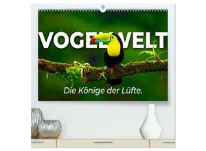 9783435033218 - Vogelwelt - Die Könige der Lüfte (hochwertiger Premium Wandkalender 2025 DIN A2 quer) Kunstdruck in Hochglanz