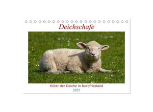 9783435033492 - Deichschafe - Hüter der Deiche in Nordfriesland (Tischkalender 2025 DIN A5 quer) CALVENDO Monatskalender