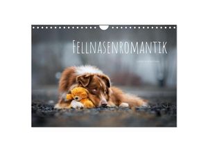 9783435034376 - Fellnasenromantik (Wandkalender 2025 DIN A4 quer) CALVENDO Monatskalender