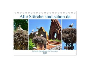 9783435034734 - Alle Störche sind schon da - Ein Dorf in Ostpreußen und seine Sommergäste (Tischkalender 2025 DIN A5 quer) CALVENDO Monatskalender