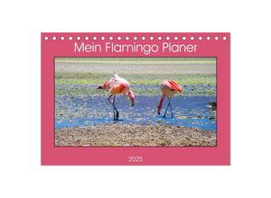 9783435034994 - Mein Flamingo Planer (Tischkalender 2025 DIN A5 quer) CALVENDO Monatskalender