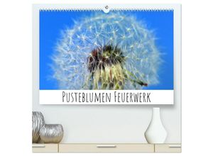 9783435036325 - Pusteblumen Feuerwerk (hochwertiger Premium Wandkalender 2025 DIN A2 quer) Kunstdruck in Hochglanz