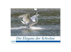 9783435036356 - Die Eleganz der Schwäne (Wandkalender 2025 DIN A4 quer) CALVENDO Monatskalender