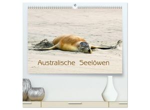 9783435036783 - Australische Seelöwen (hochwertiger Premium Wandkalender 2025 DIN A2 quer) Kunstdruck in Hochglanz