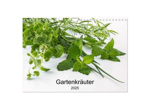 9783435036844 - Gartenkräuter (Wandkalender 2025 DIN A4 quer) CALVENDO Monatskalender