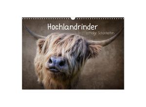 9783435036943 - Hochlandrinder - Zottelige Schönheiten (Wandkalender 2025 DIN A3 quer) CALVENDO Monatskalender