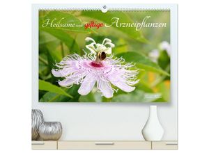 9783435037636 - Heilsame und giftige Arzneipflanzen (hochwertiger Premium Wandkalender 2025 DIN A2 quer) Kunstdruck in Hochglanz