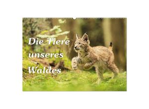 9783435037667 - Die Tiere unseres Waldes (Wandkalender 2025 DIN A2 quer) CALVENDO Monatskalender