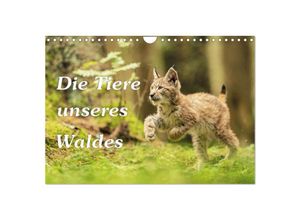 9783435038473 - Die Tiere unseres Waldes (Wandkalender 2025 DIN A4 quer) CALVENDO Monatskalender