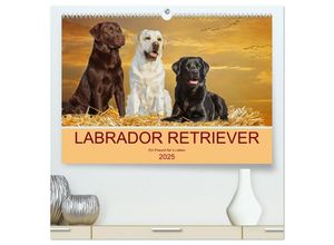 9783435038718 - Labrador Retriever - Ein Freund für´s Leben (hochwertiger Premium Wandkalender 2025 DIN A2 quer) Kunstdruck in Hochglanz