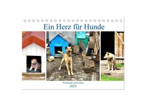 9783435039494 - Ein Herz für Hunde - Wachhunde in Russland (Tischkalender 2025 DIN A5 quer) CALVENDO Monatskalender