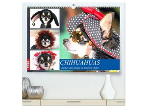 9783435039562 - Chihuahuas Zuckersüße Hunde im lustigen Outfit (hochwertiger Premium Wandkalender 2025 DIN A2 quer) Kunstdruck in Hochglanz