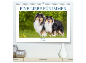 9783435039692 - Eine Liebe für immer - Collies (hochwertiger Premium Wandkalender 2025 DIN A2 quer) Kunstdruck in Hochglanz