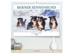 9783435039876 - Berner Sennenhund - Ein Traum auf vier Pfoten (hochwertiger Premium Wandkalender 2025 DIN A2 quer) Kunstdruck in Hochglanz